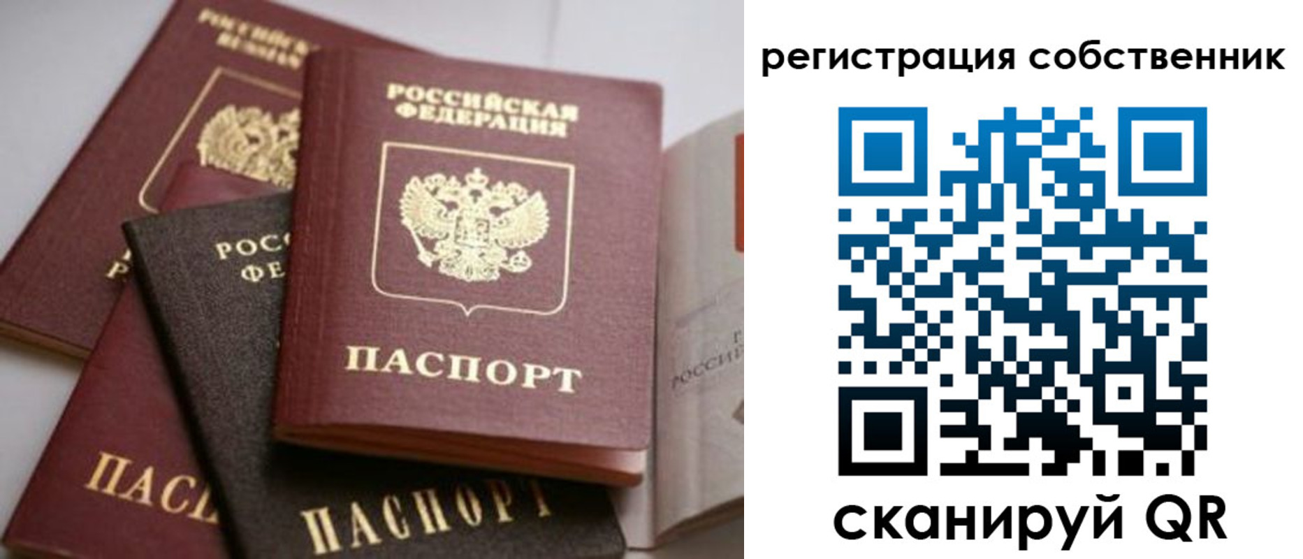 временная регистрация поиск в Мурманской области