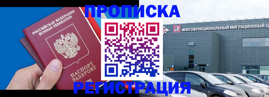 прописка для школы в Мурманской области